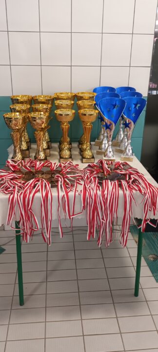 Miniaturka artykułu MISTRZOSTWA POWIATU NOWOSĄDECKIEGO